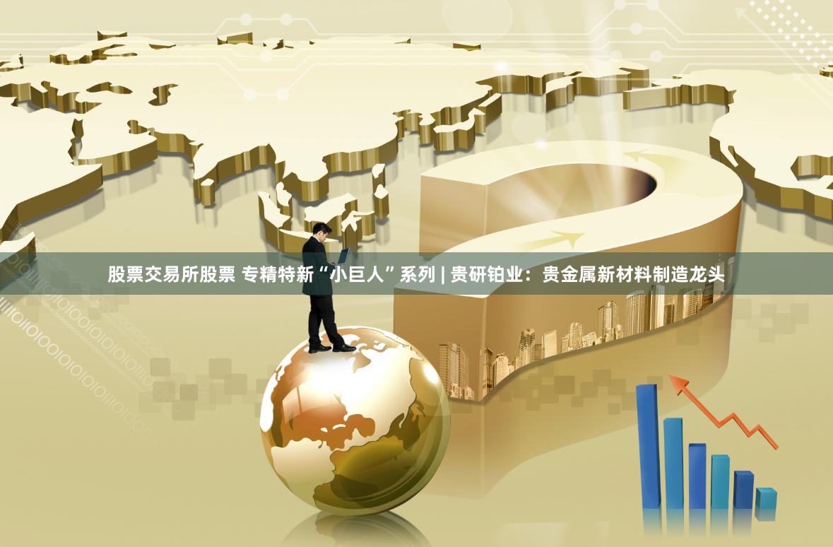 股票交易所股票 专精特新“小巨人”系列 | 贵研铂业：贵金属新材料制造龙头